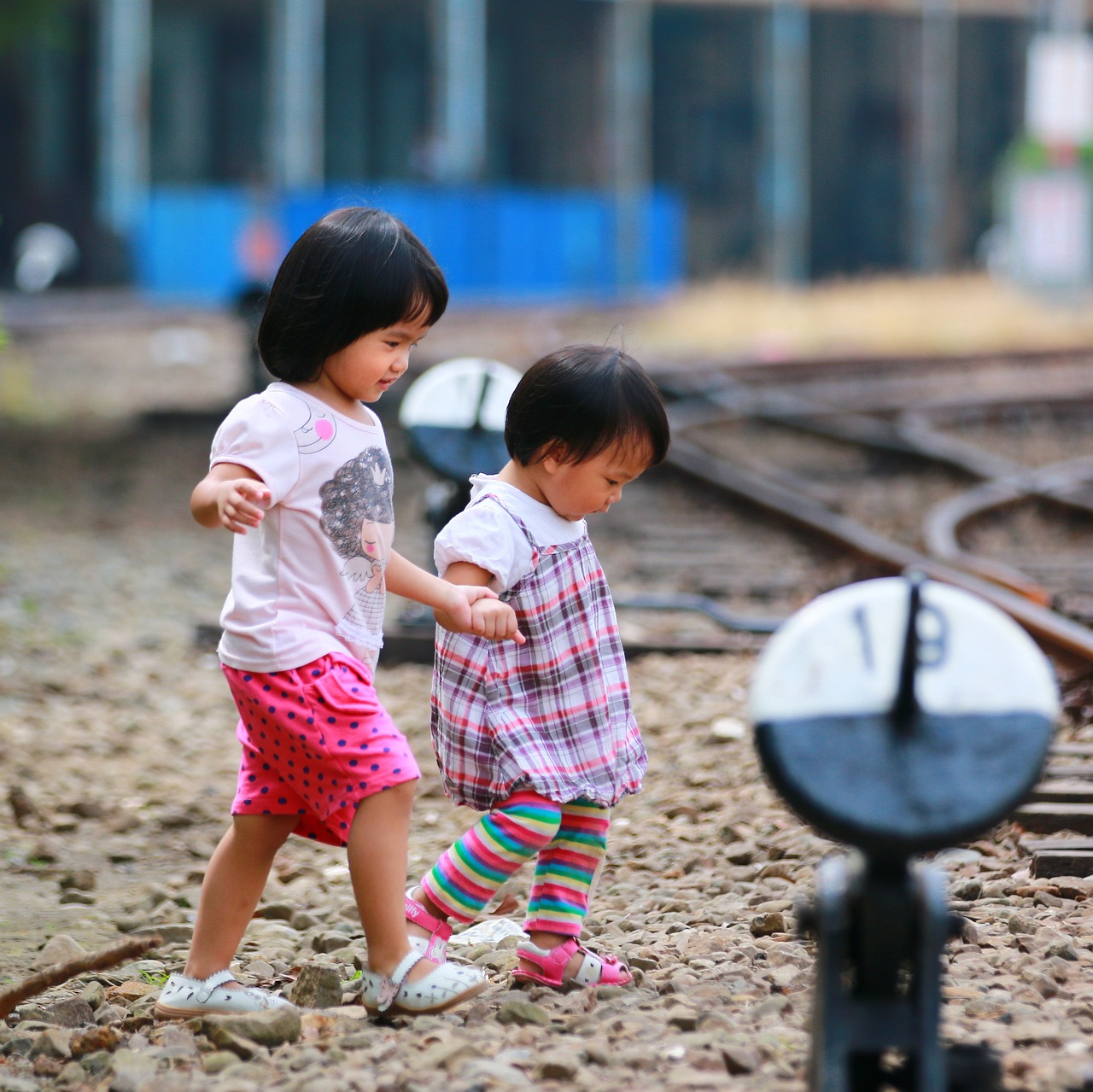 에버랜드를 완벽하게 즐기기 위한 팁과 추천