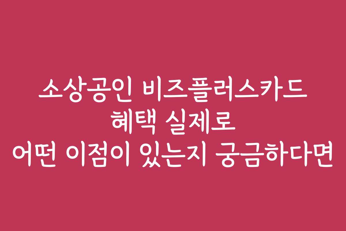 소상공인 비즈플러스카드 혜택 실제로 어떤 이점이 있는지 궁금하다면