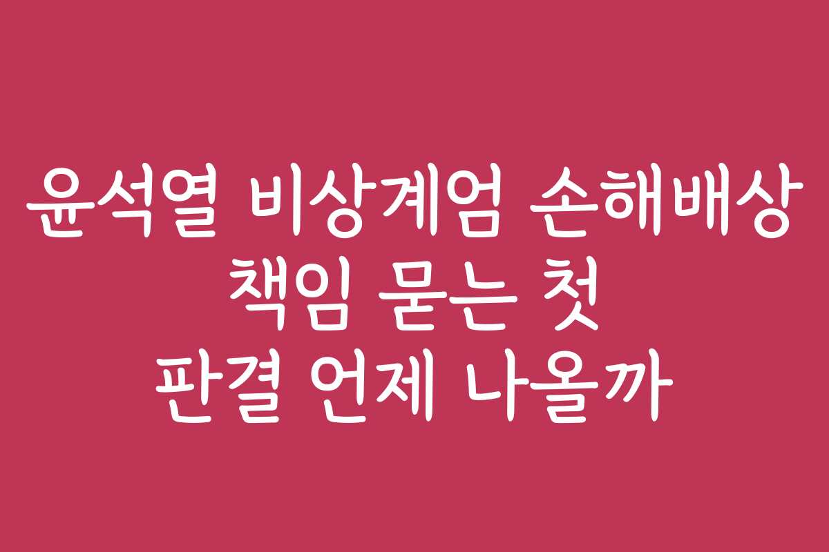 윤석열 비상계엄 손해배상 책임 묻는 첫 판결 언제 나올까