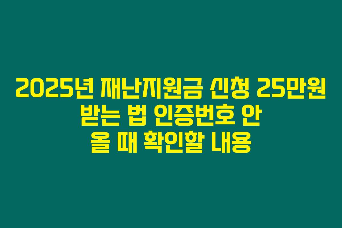 2025년 재난지원금 신청 25만원 받는 법 인증번호 안 올 때 확인할 내용