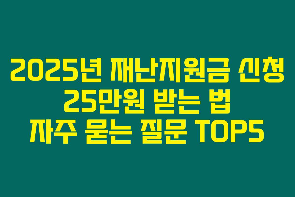 2025년 재난지원금 신청 25만원 받는 법 자주 묻는 질문 TOP5