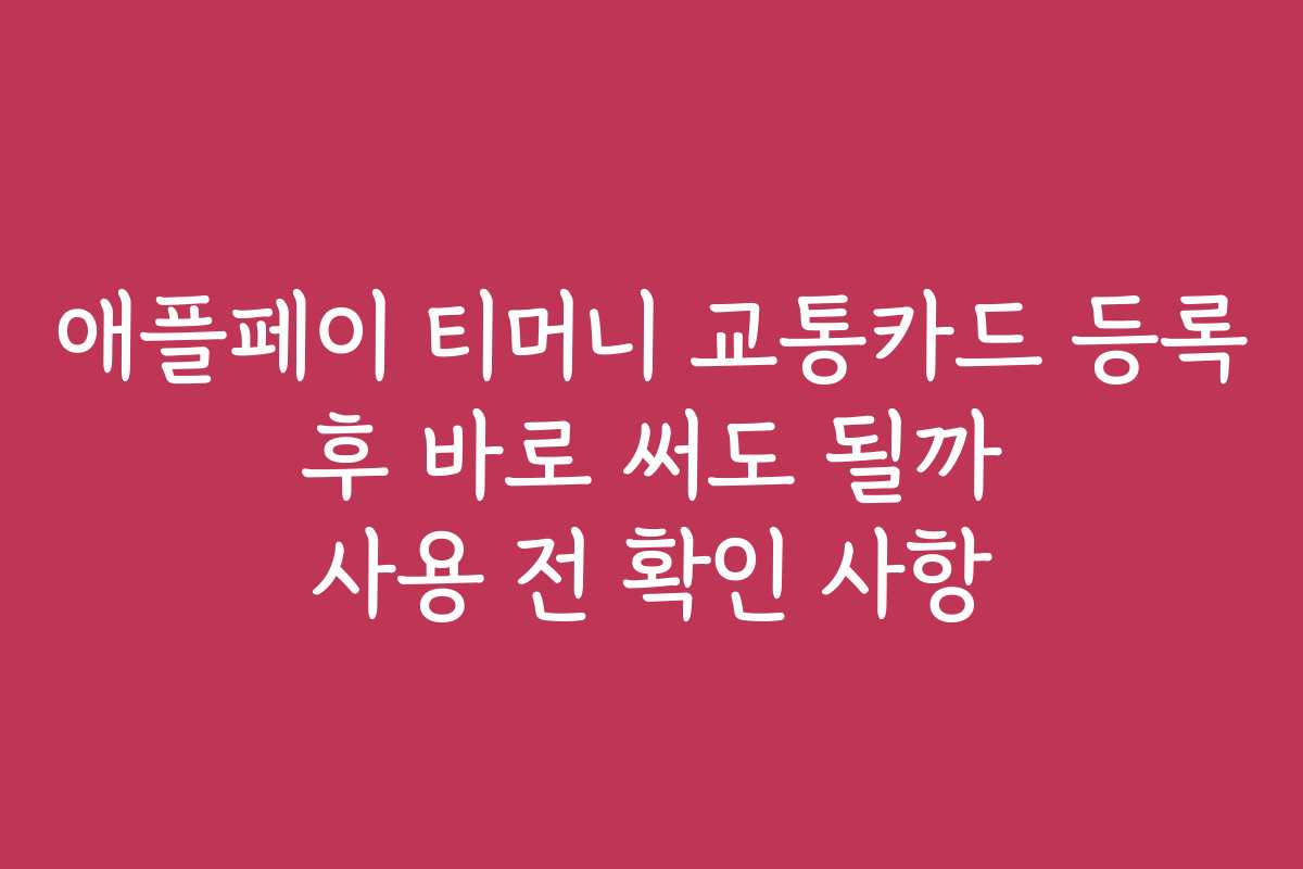 애플페이 티머니 교통카드 등록 후 바로 써도 될까 사용 전 확인 사항