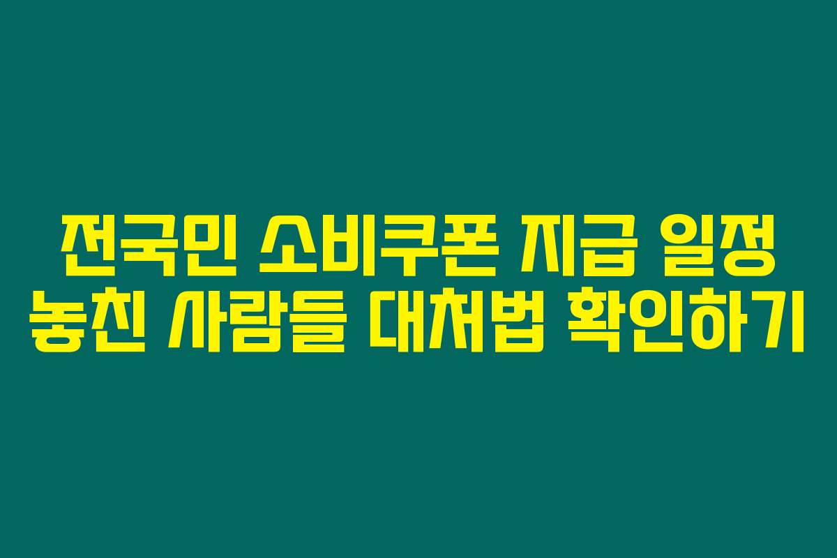 전국민 소비쿠폰 지급 일정 놓친 사람들 대처법 확인하기