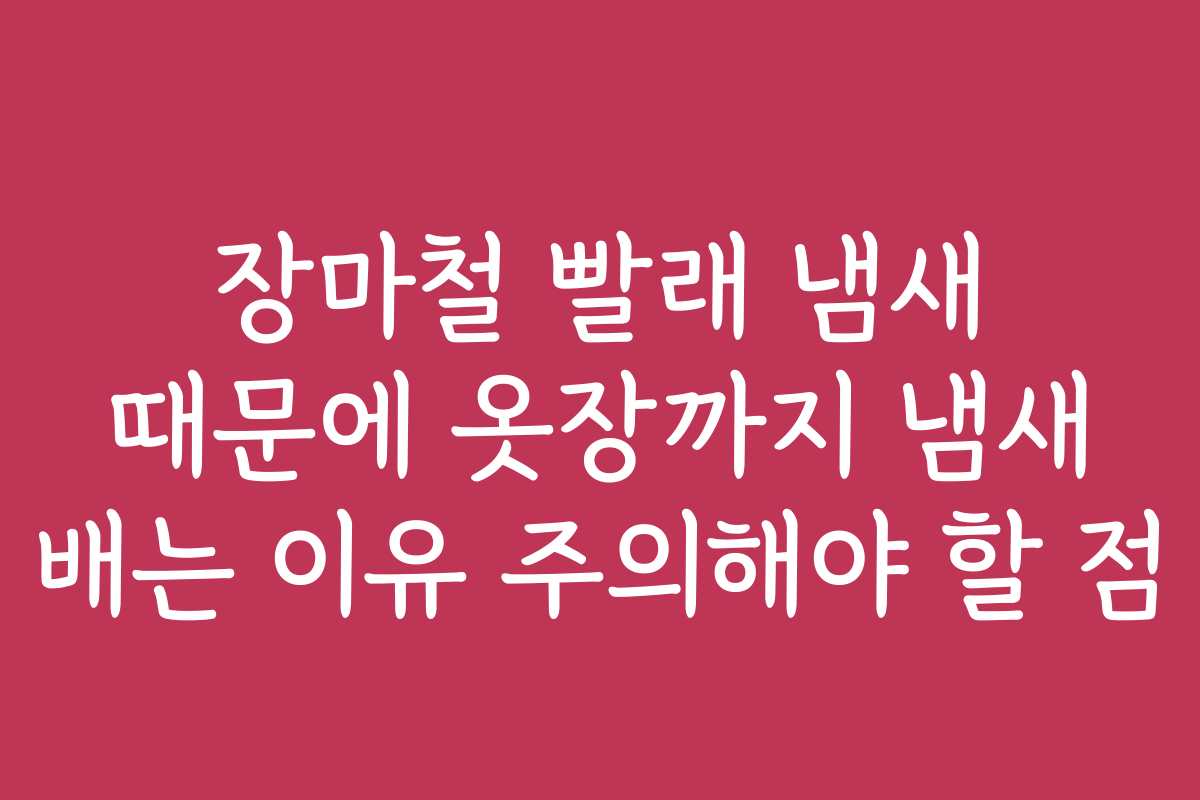 장마철 빨래 냄새 때문에 옷장까지 냄새 배는 이유 주의해야 할 점