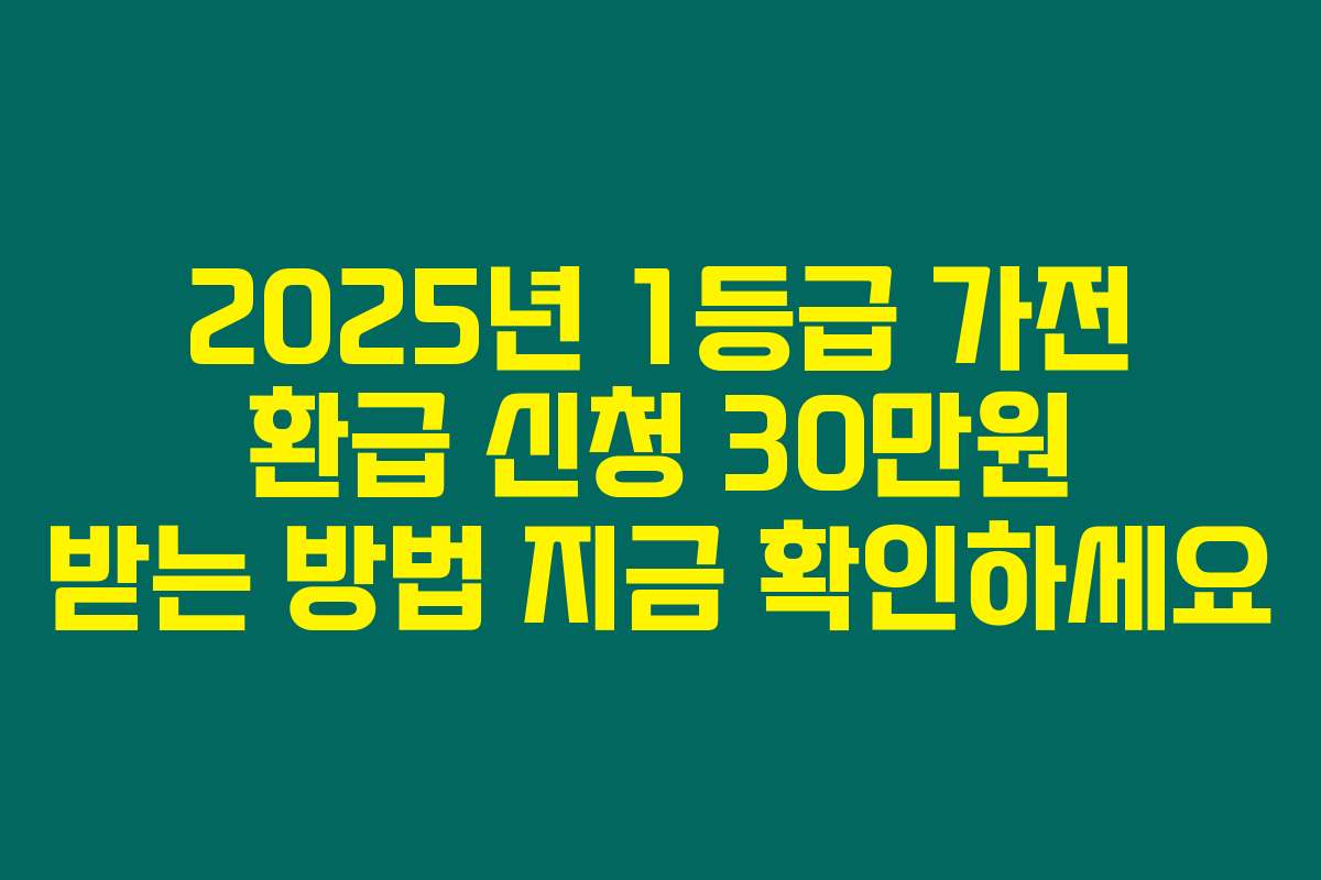 2025년 1등급 가전 환급 신청 30만원 받는 방법 지금 확인하세요
