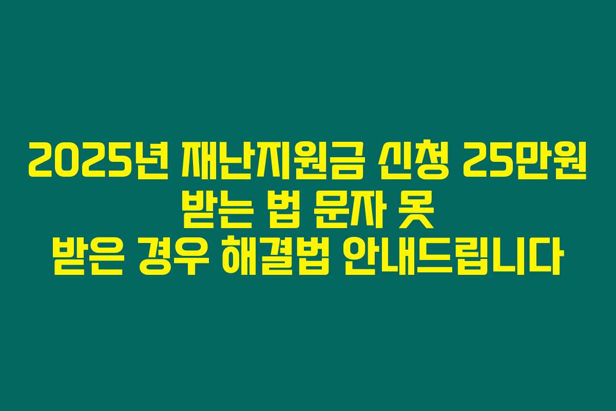 2025년 재난지원금 신청 25만원 받는 법 문자 못 받은 경우 해결법 안내드립니다