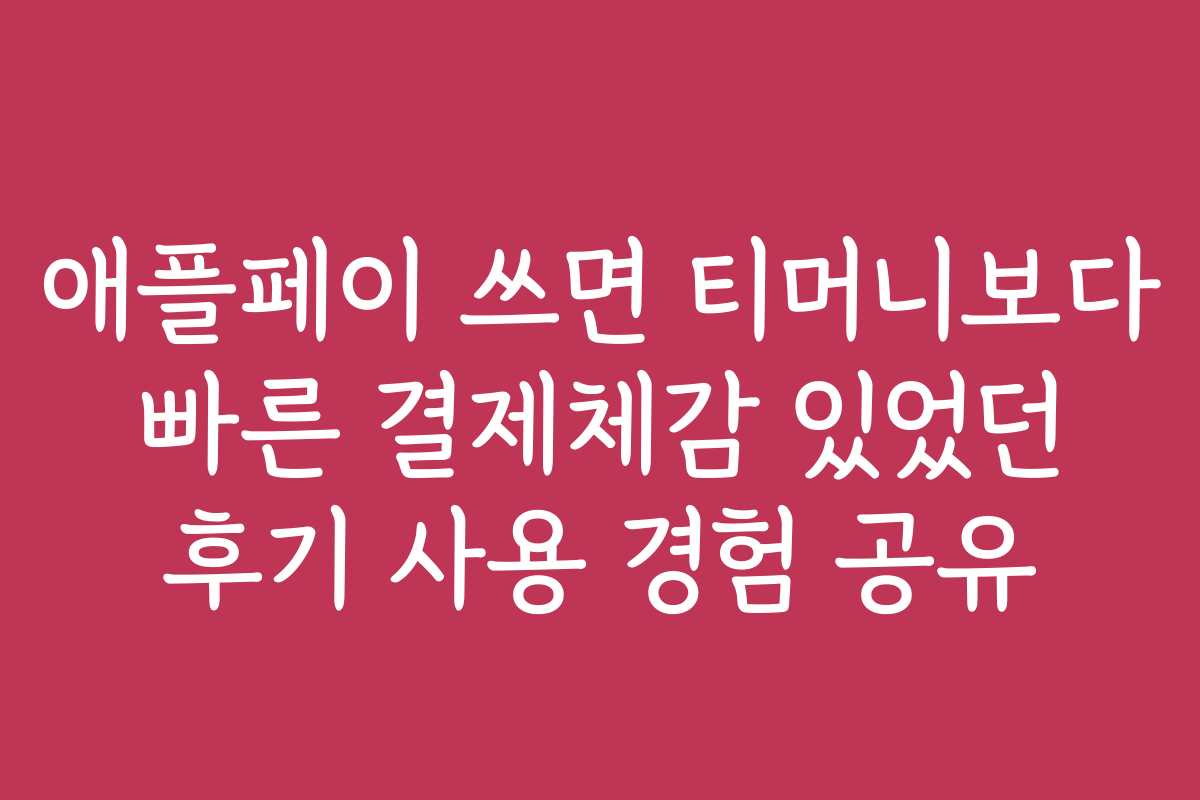 애플페이 쓰면 티머니보다 빠른 결제체감 있었던 후기 사용 경험 공유