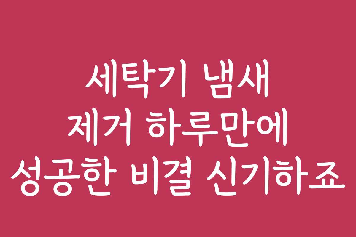세탁기 냄새 제거 하루만에 성공한 비결 신기하죠