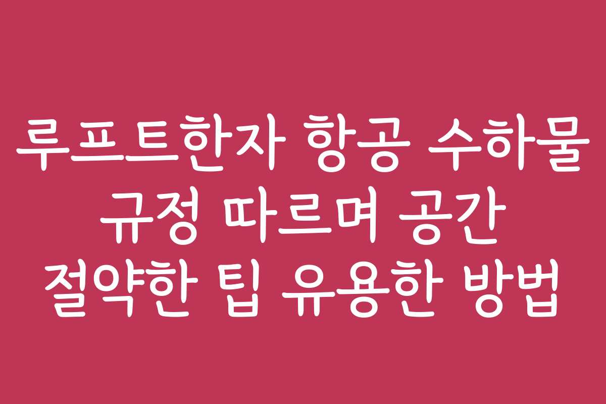 루프트한자 항공 수하물 규정 따르며 공간 절약한 팁 유용한 방법