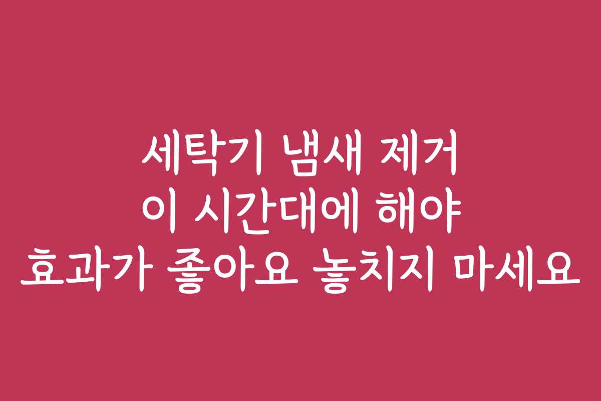 세탁기 냄새 제거 이 시간대에 해야 효과가 좋아요 놓치지 마세요