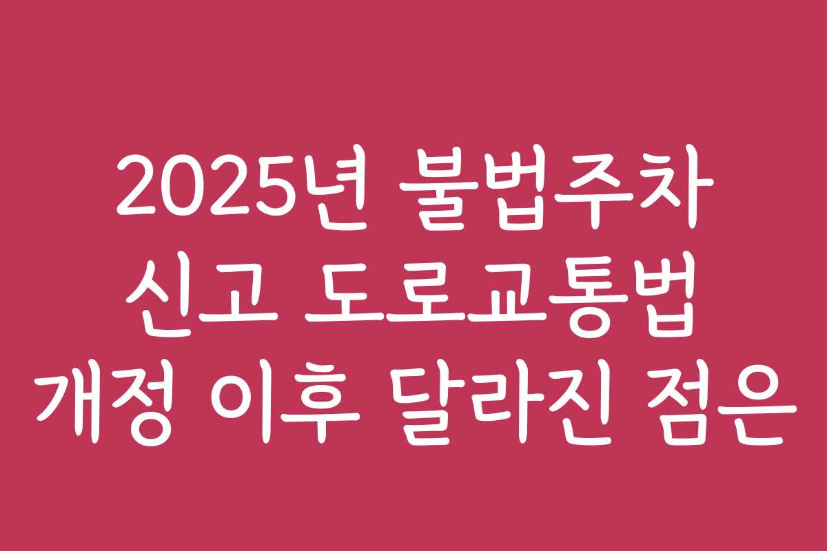 2025년 불법주차 신고 도로교통법 개정 이후 달라진 점은