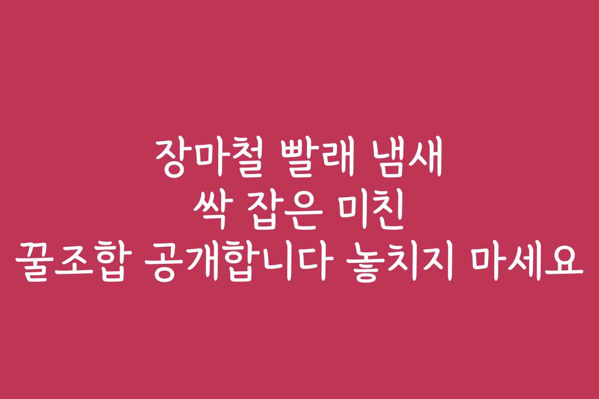장마철 빨래 냄새 싹 잡은 미친 꿀조합 공개합니다 놓치지 마세요