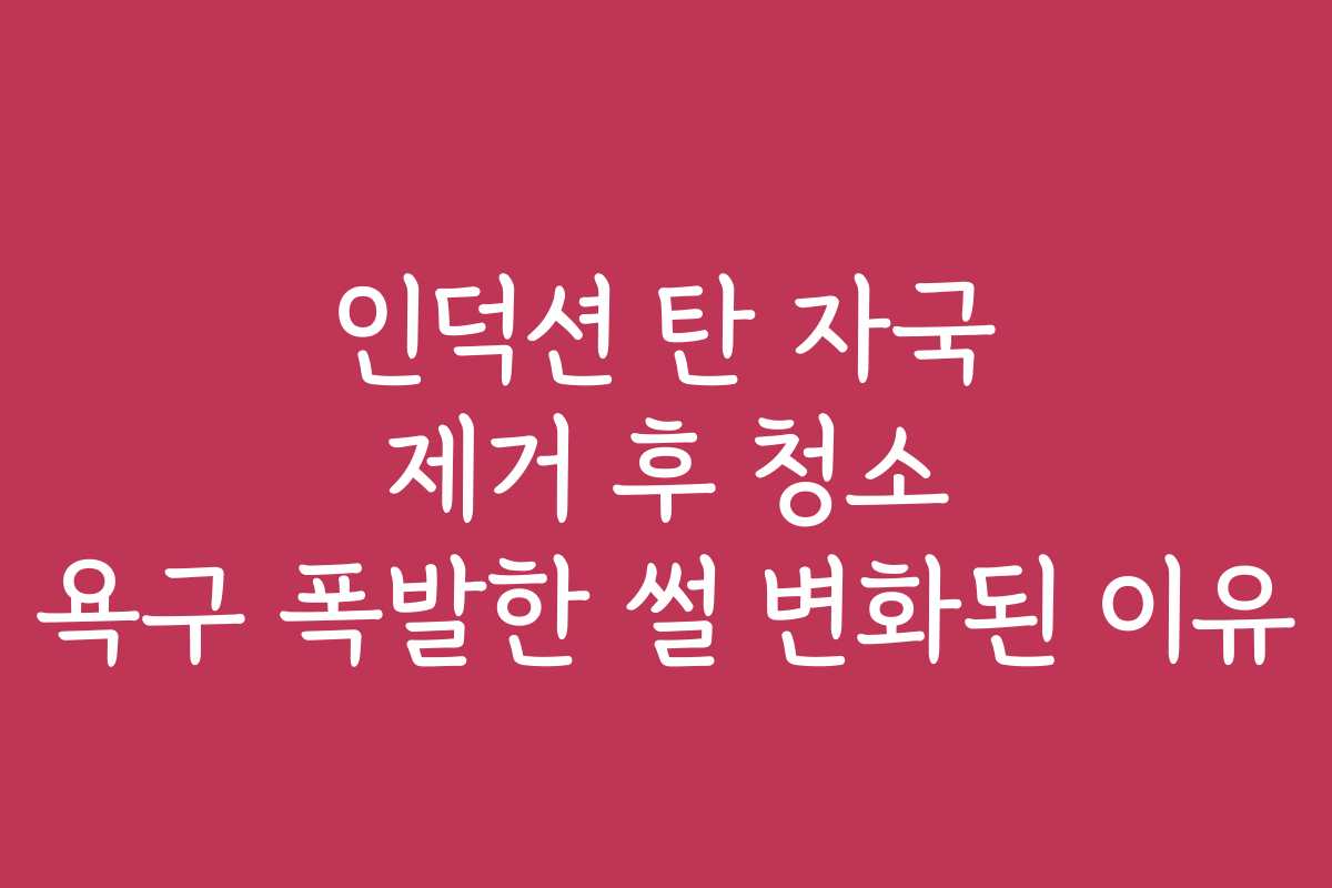 인덕션 탄 자국 제거 후 청소 욕구 폭발한 썰 변화된 이유