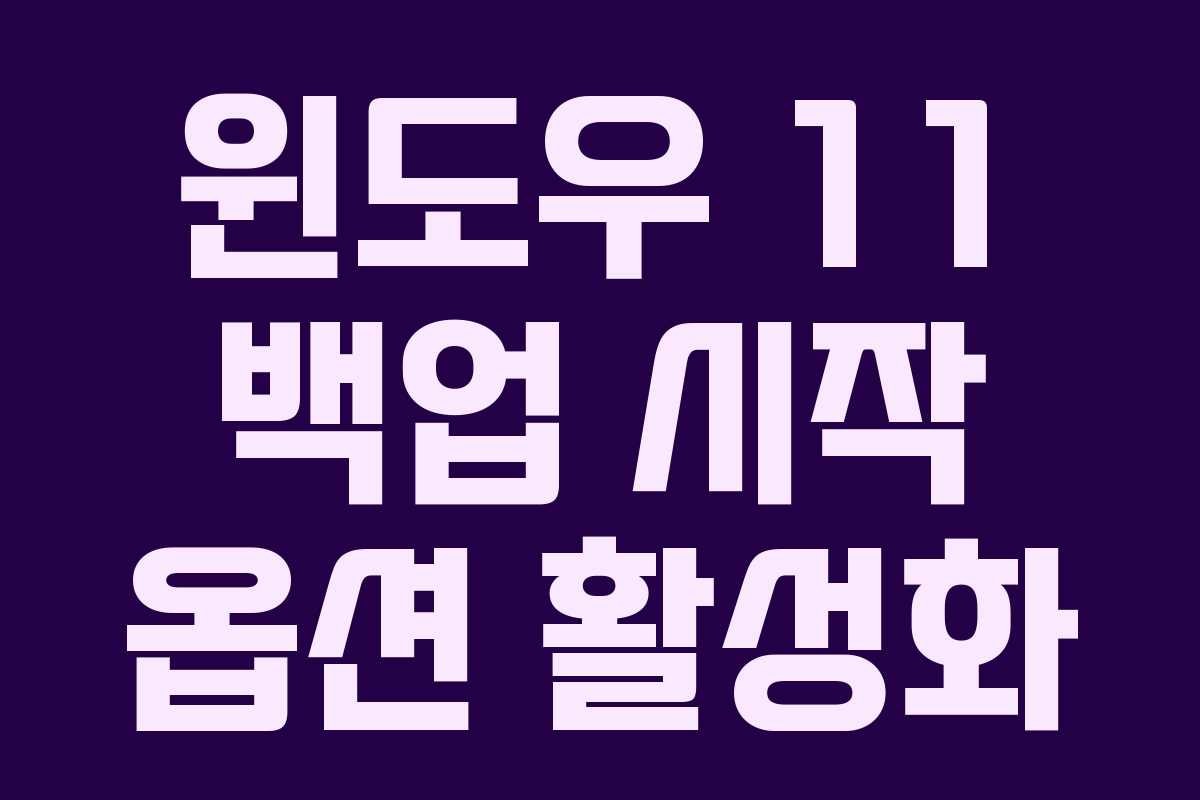 윈도우 11 백업 시작 옵션 활성화