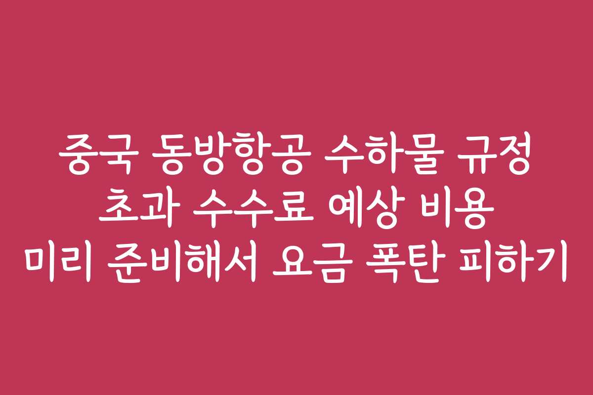 중국 동방항공 수하물 규정 초과 수수료 예상 비용 미리 준비해서 요금 폭탄 피하기