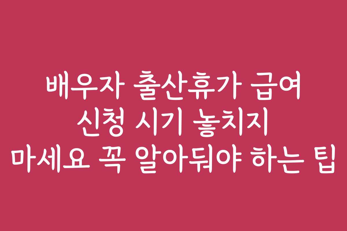 배우자 출산휴가 급여 신청 시기 놓치지 마세요 꼭 알아둬야 하는 팁