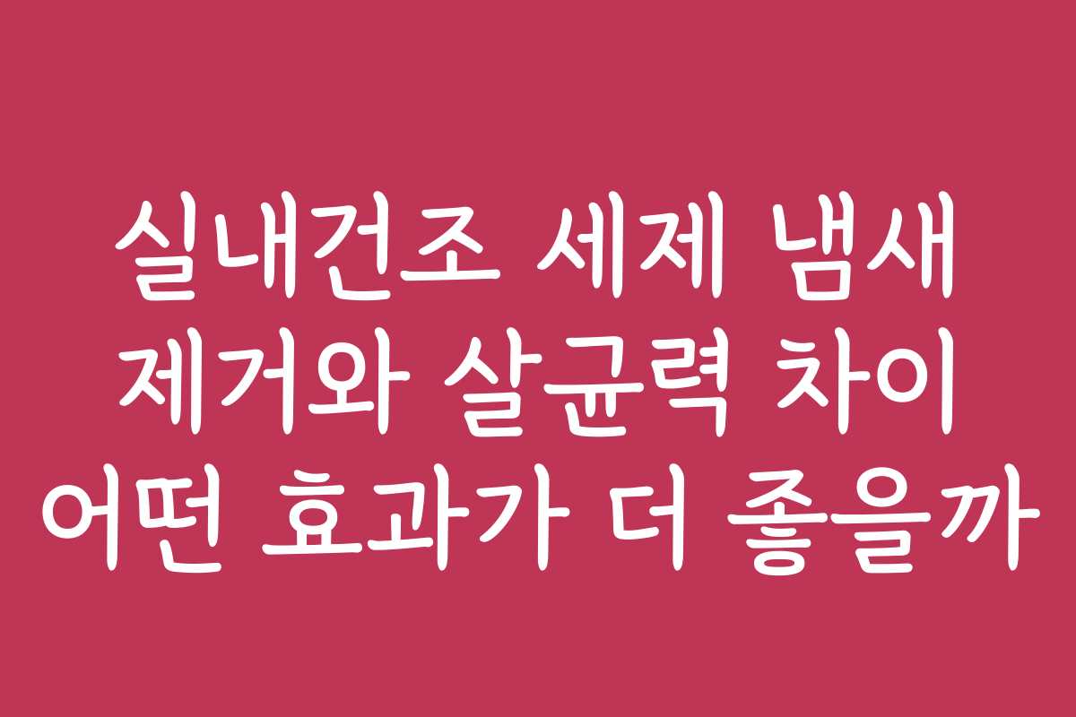 실내건조 세제 냄새 제거와 살균력 차이 어떤 효과가 더 좋을까