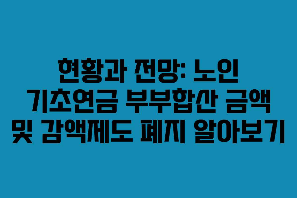 현황과 전망: 노인 기초연금 부부합산 금액 및 감액제도 폐지 알아보기