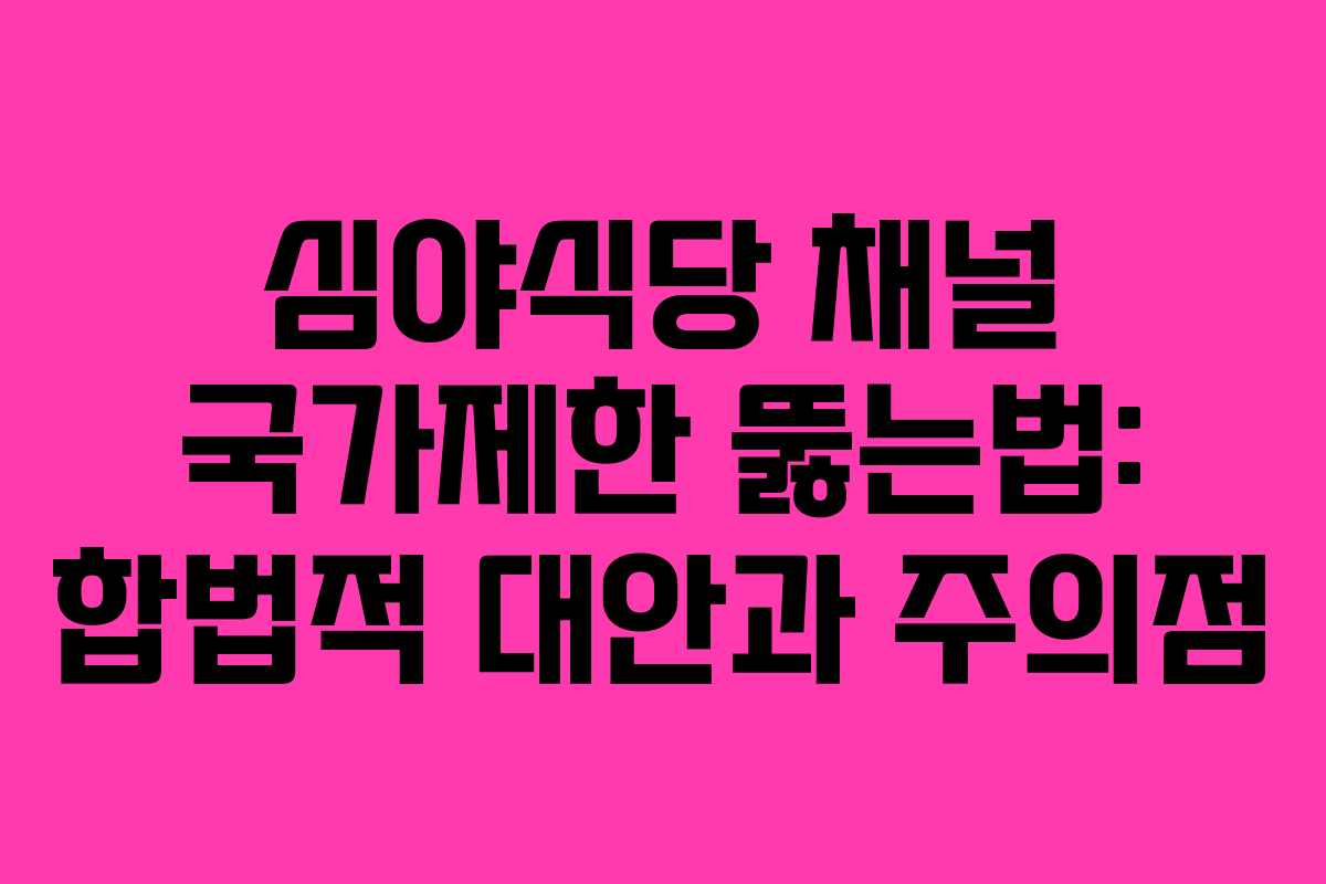 심야식당 채널 국가제한 뚫는법: 합법적 대안과 주의점
