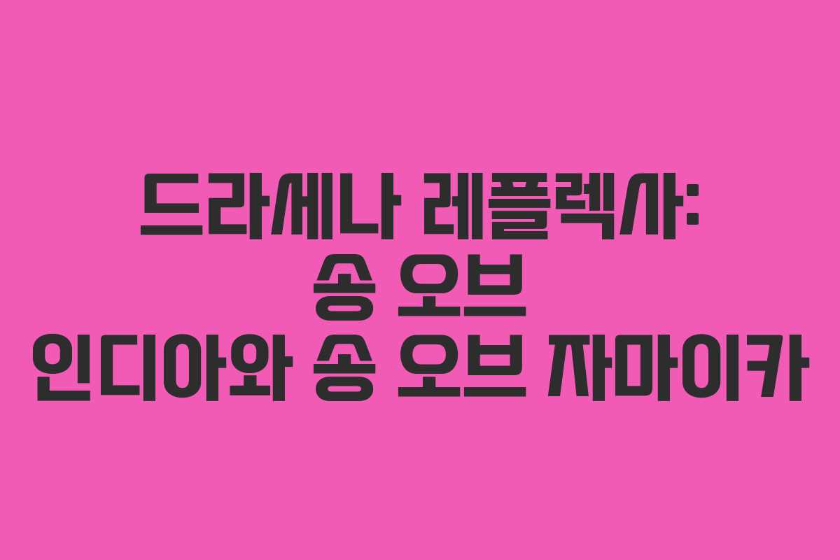 드라세나 레플렉사: 송 오브 인디아와 송 오브 자마이카