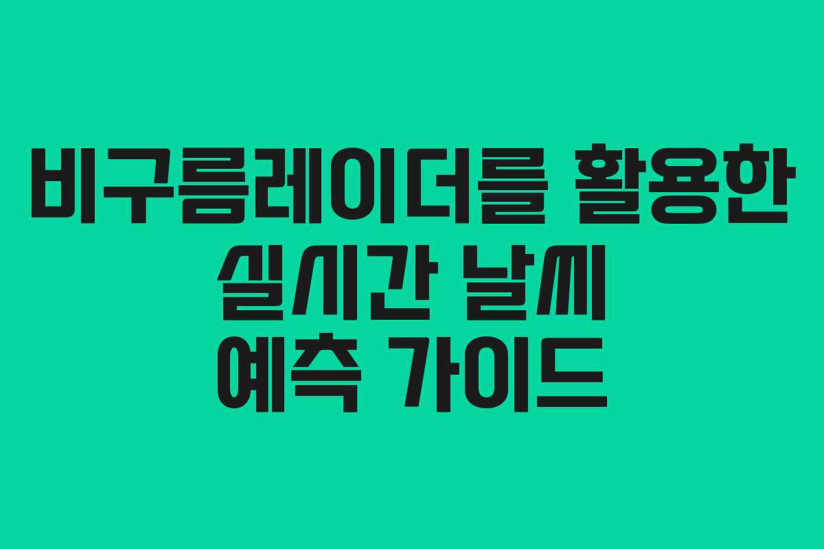 비구름레이더를 활용한 실시간 날씨 예측 가이드