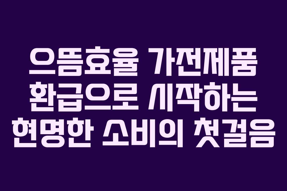 으뜸효율 가전제품 환급으로 시작하는 현명한 소비의 첫걸음