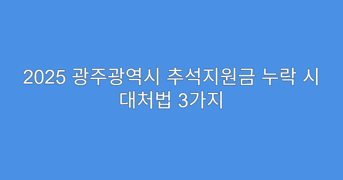 2025 광주광역시 추석지원금 누락 시 대처법 3가지