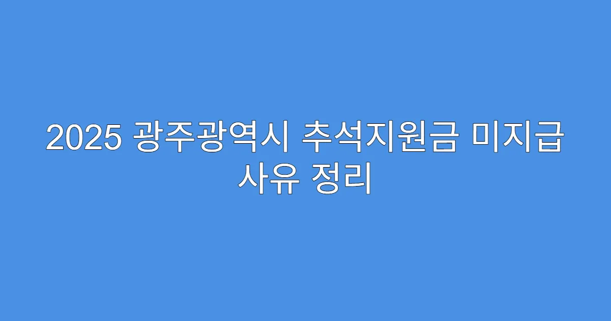 2025 광주광역시 추석지원금 미지급 사유 정리