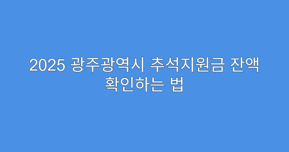2025 광주광역시 추석지원금 잔액 확인하는 법