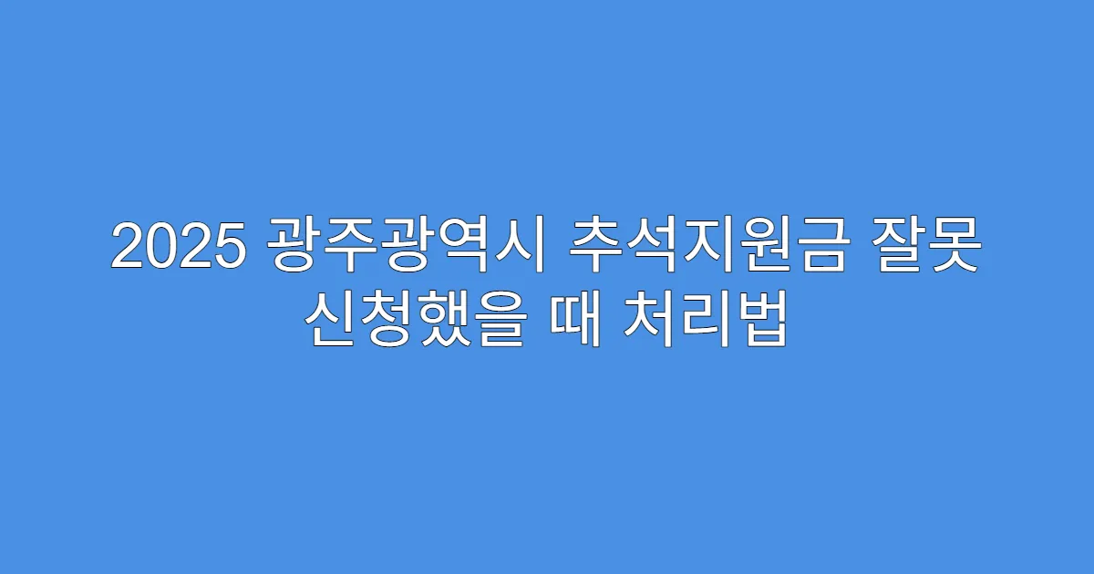 2025 광주광역시 추석지원금 잘못 신청했을 때 처리법
