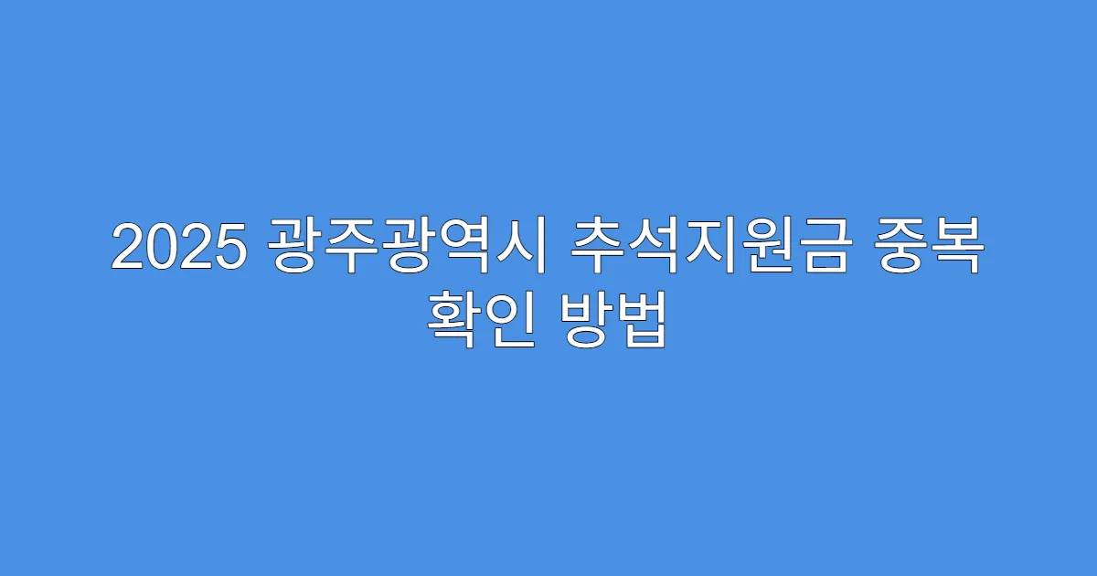 2025 광주광역시 추석지원금 중복 확인 방법