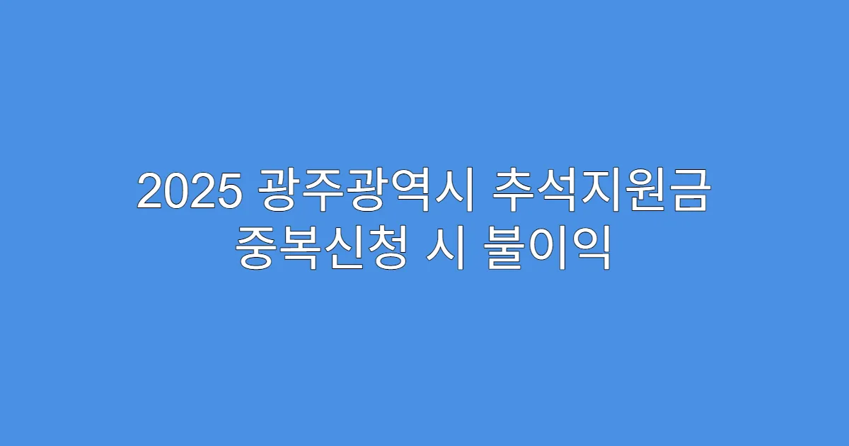 2025 광주광역시 추석지원금 중복신청 시 불이익