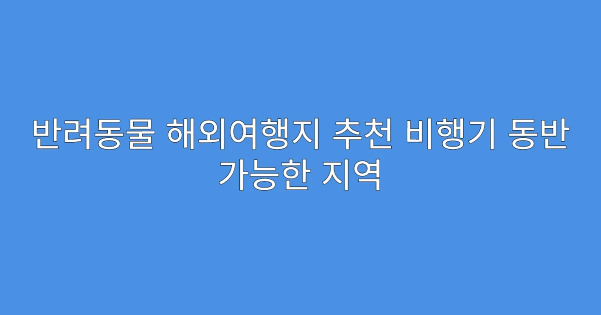 반려동물 해외여행지 추천 비행기 동반 가능한 지역