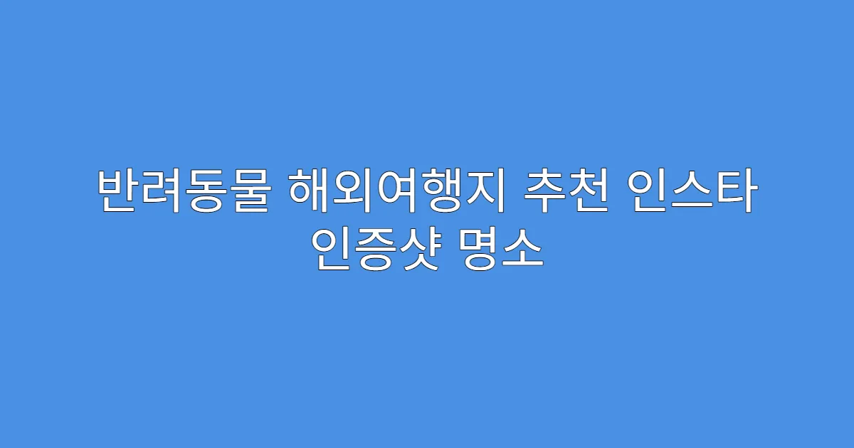 반려동물 해외여행지 추천 인스타 인증샷 명소