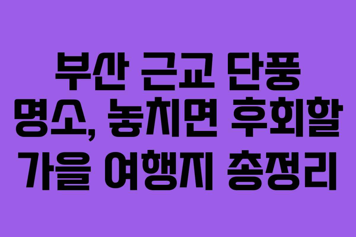 부산 근교 단풍 명소, 놓치면 후회할 가을 여행지 총정리