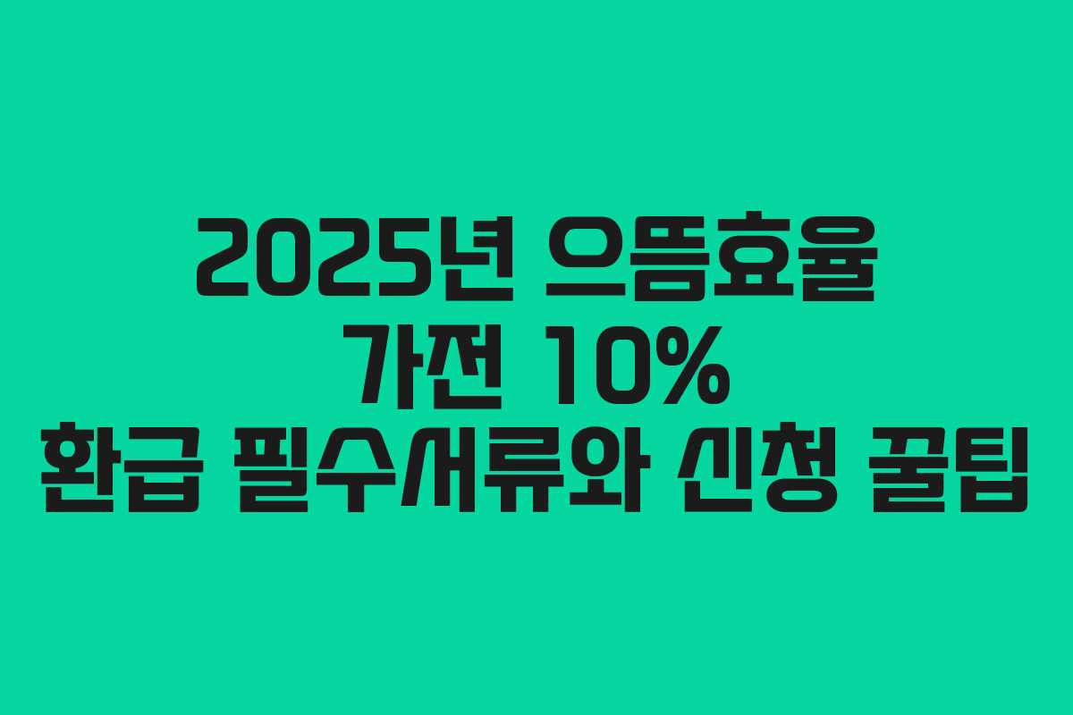 2025년 으뜸효율 가전 10% 환급 필수서류와 신청 꿀팁 2025년 으뜸효율 가전 10% 환급 필수서류와 신청 꿀팁