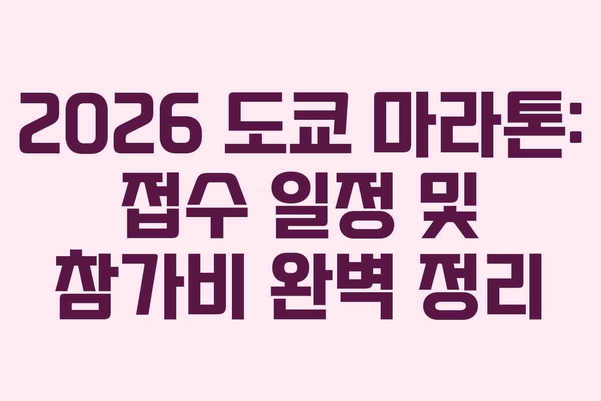 2026 도쿄 마라톤: 접수 일정 및 참가비 완벽 정리