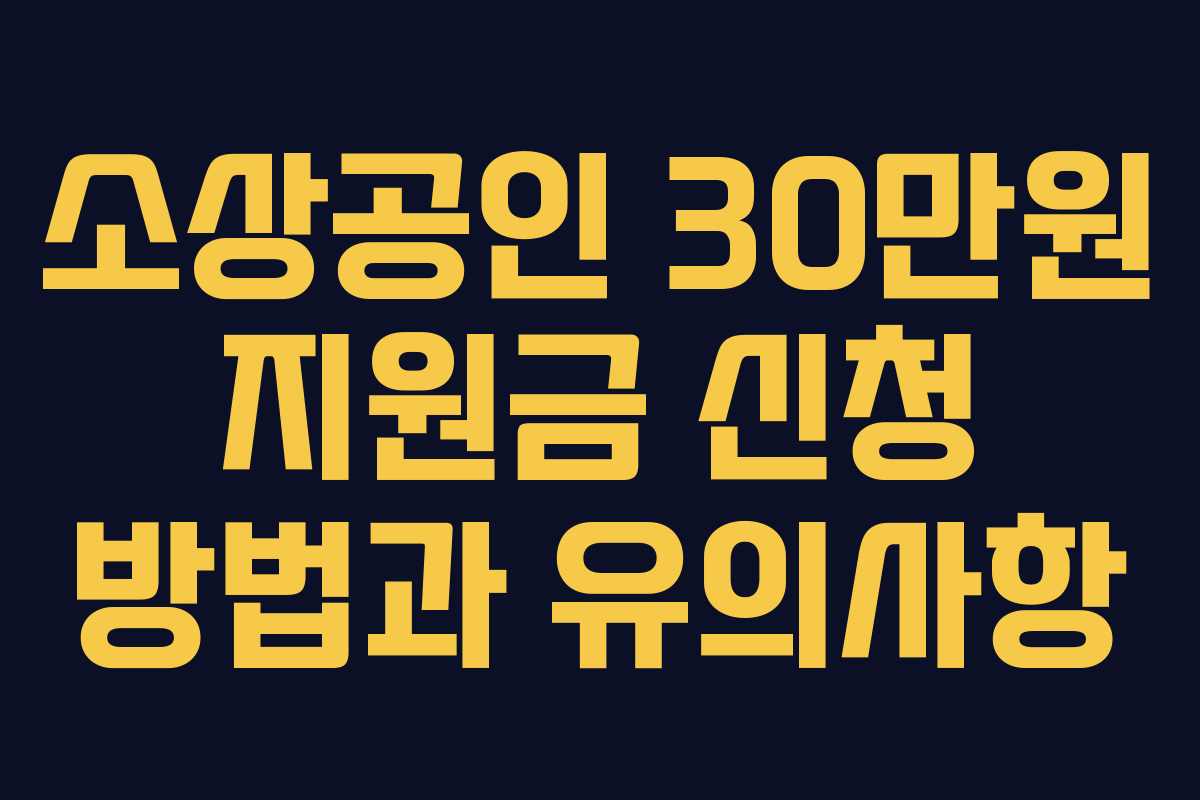 소상공인 30만원 지원금 신청 방법과 유의사항