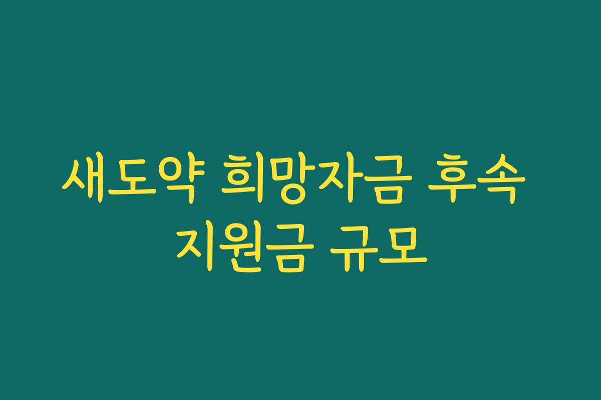 새도약 희망자금 후속 지원금 규모