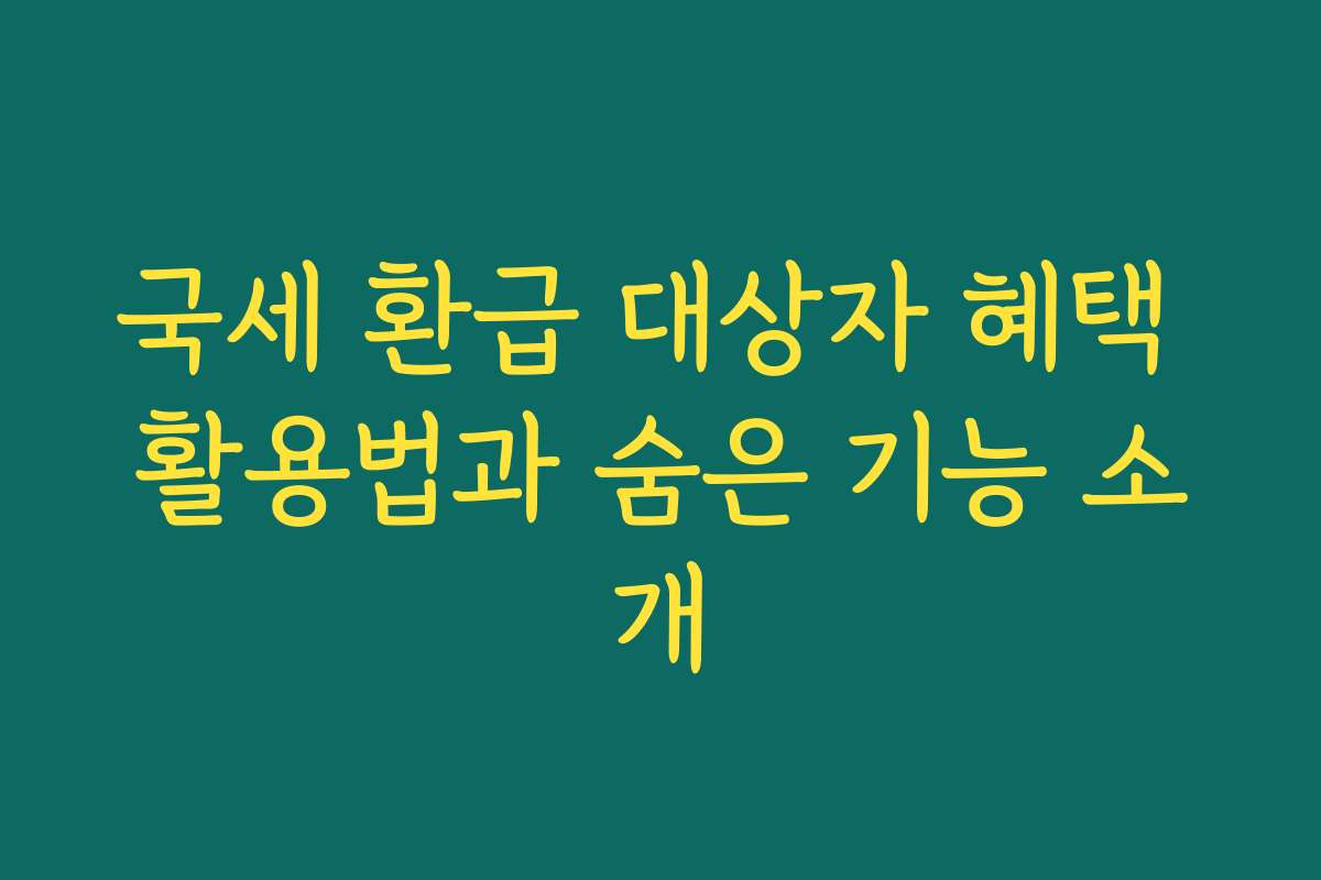 국세 환급 대상자 혜택 활용법과 숨은 기능 소개