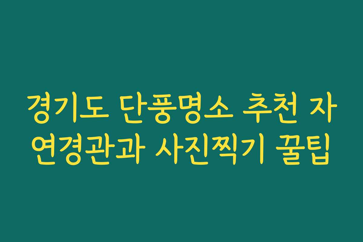 경기도 단풍명소 추천 자연경관과 사진찍기 꿀팁
