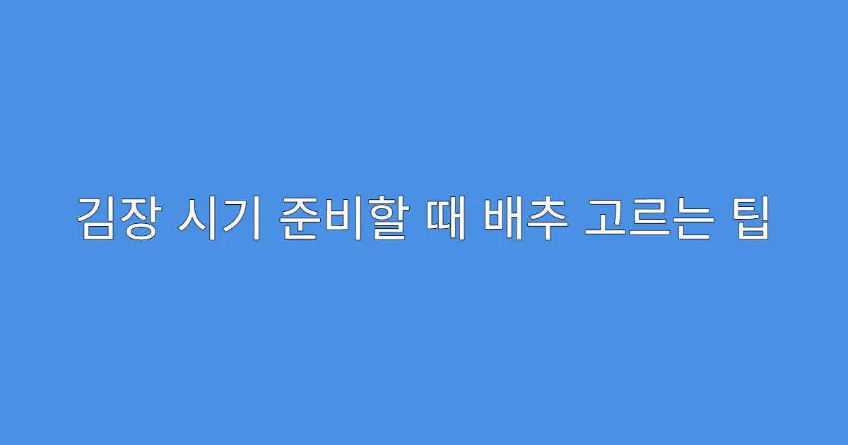 김장 시기 준비할 때 배추 고르는 팁