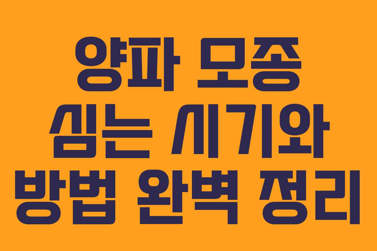 양파 모종 심는 시기와 방법 완벽 정리 양파 모종 심는 시기와 방법 완벽 정리
