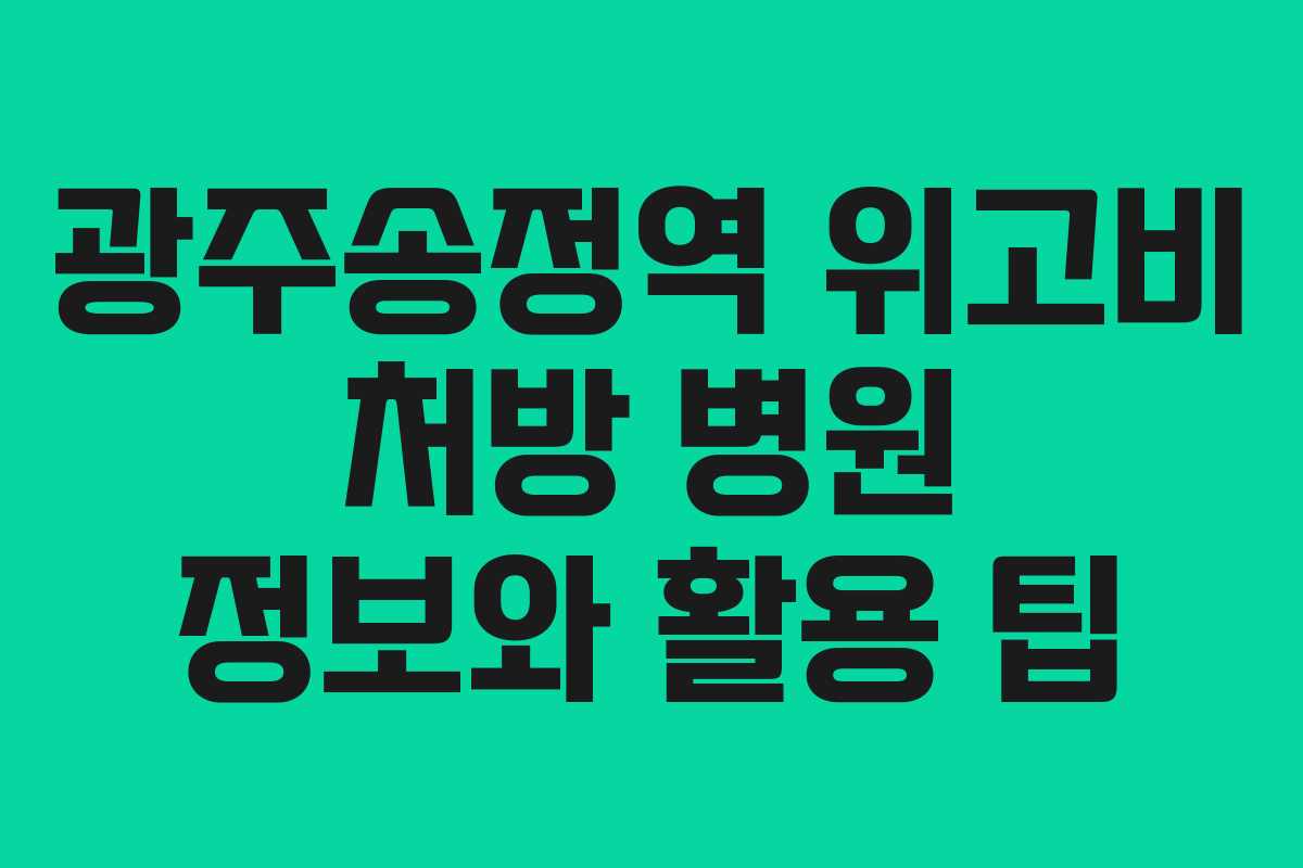 광주송정역 위고비 처방 병원 정보와 활용 팁 광주송정역 위고비 처방 병원 정보와 활용 팁