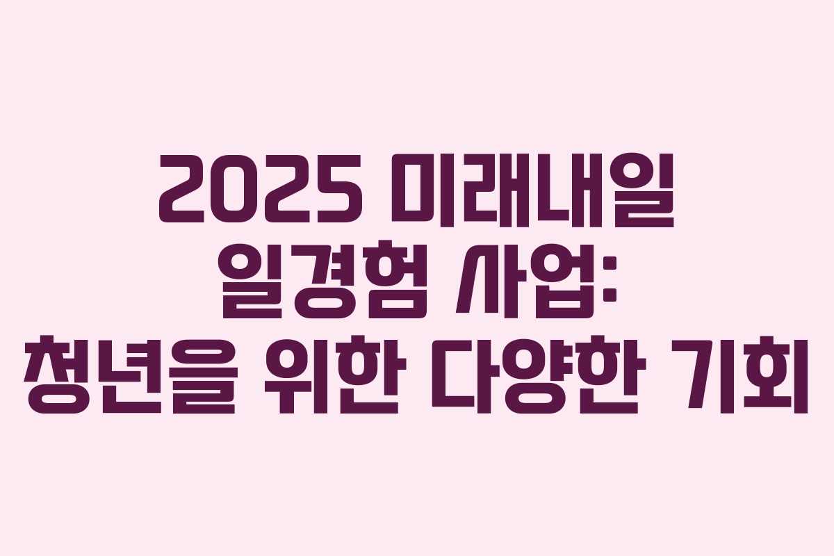 2025 미래내일 일경험 사업: 청년을 위한 다양한 기회