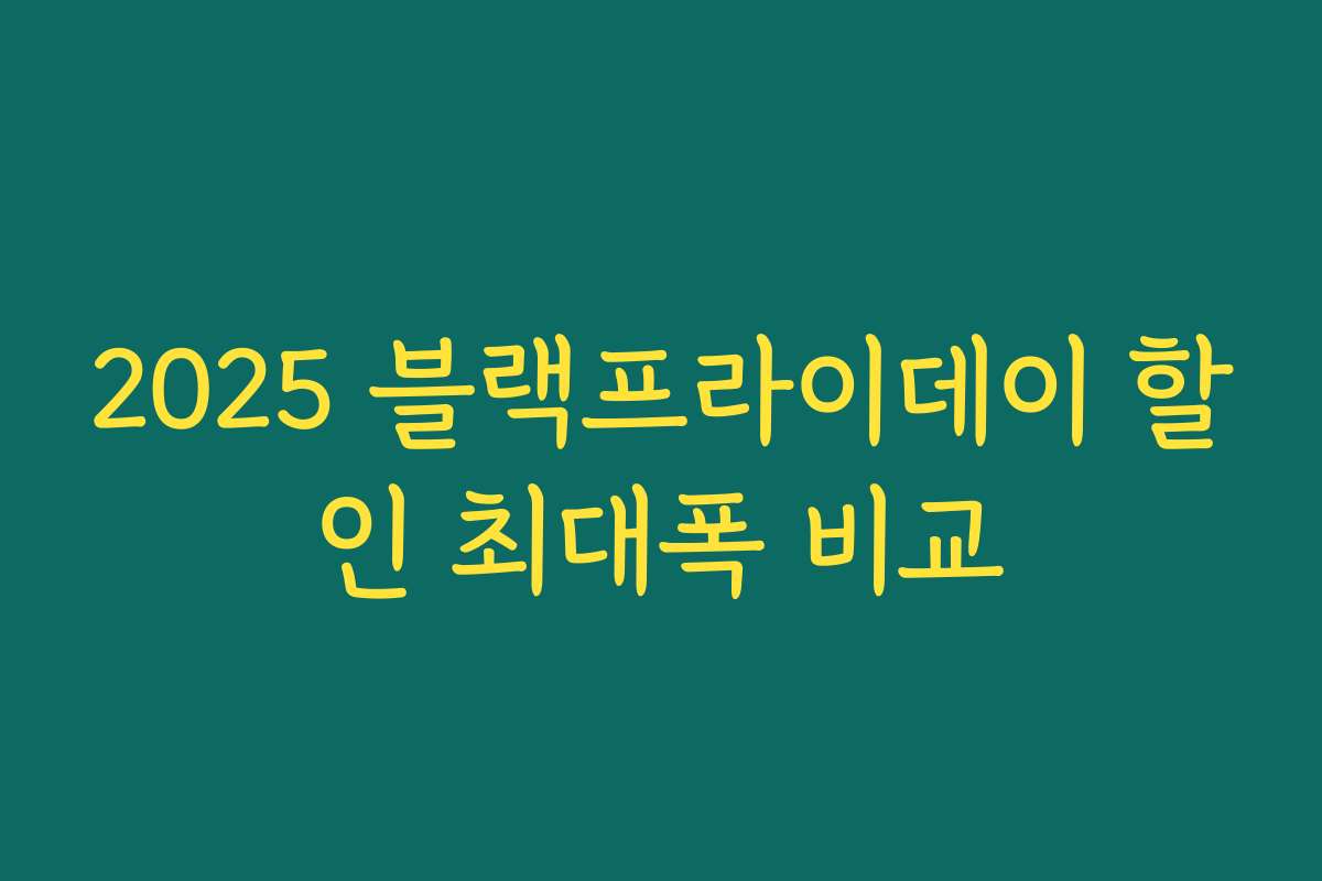 2025 블랙프라이데이 할인 최대폭 비교