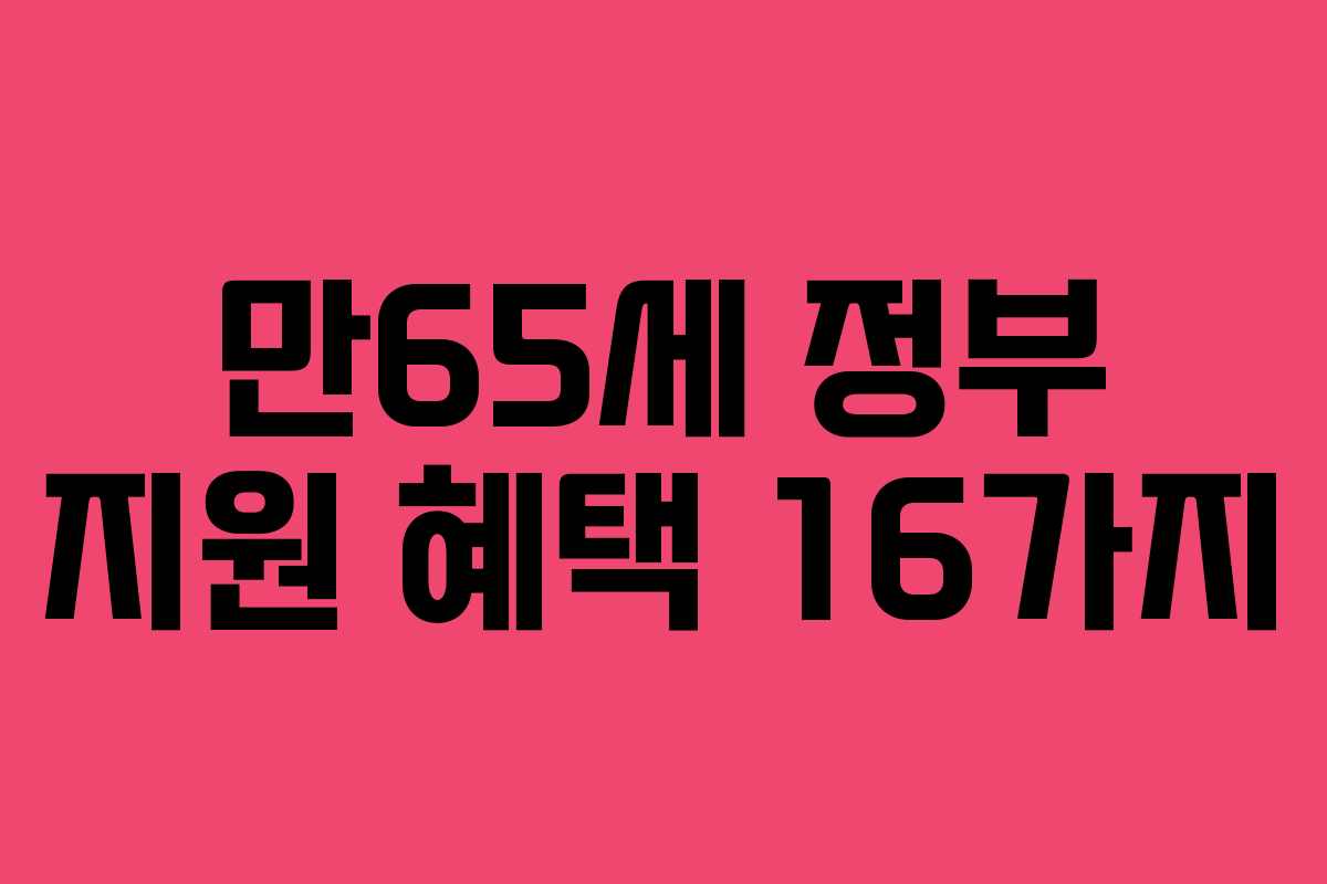 만65세 정부 지원 혜택 16가지 만65세 정부 지원 혜택 16가지