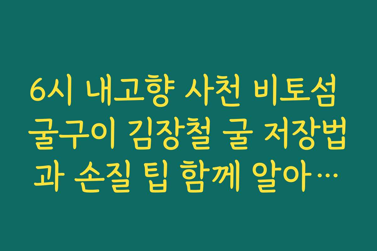 6시 내고향 사천 비토섬 굴구이 김장철 굴 저장법과 손질 팁 함께 알아보기