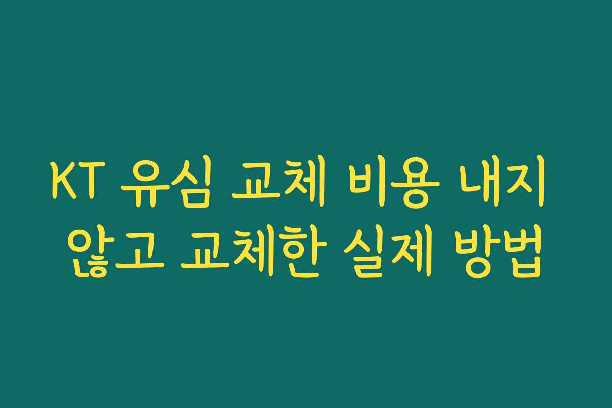 KT 유심 교체 비용 내지 않고 교체한 실제 방법