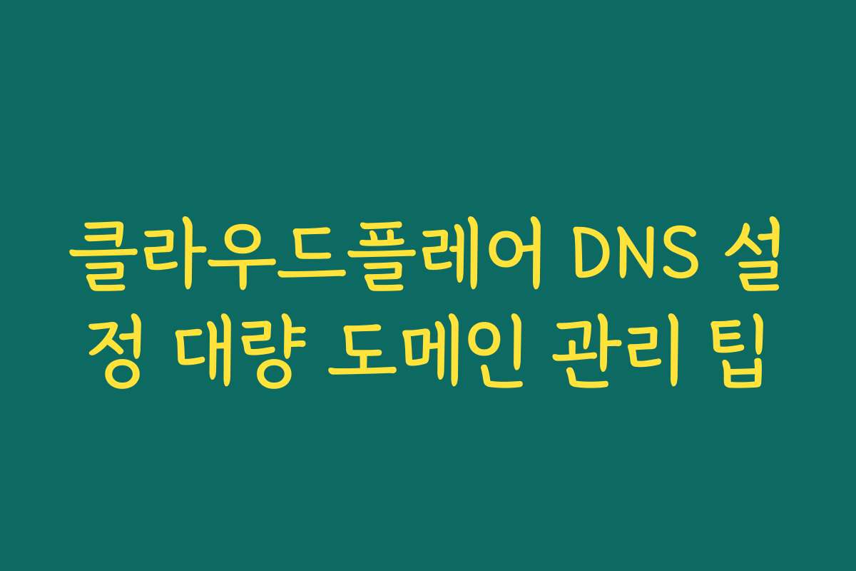 클라우드플레어 DNS 설정 대량 도메인 관리 팁